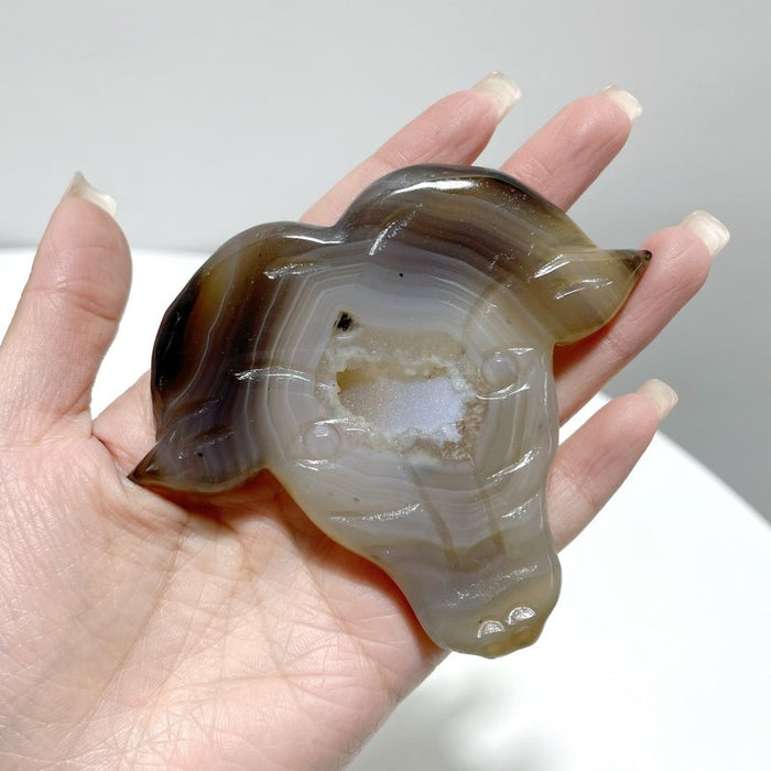3 Pieces Unique Geode Druzy Agate Ox Head Crystal Carving With Stand