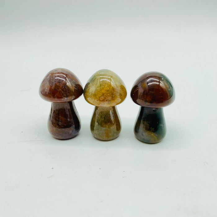 3 Types Mushroom Caribbean & Crazy Agate & Chevron Amethyst Wholesale