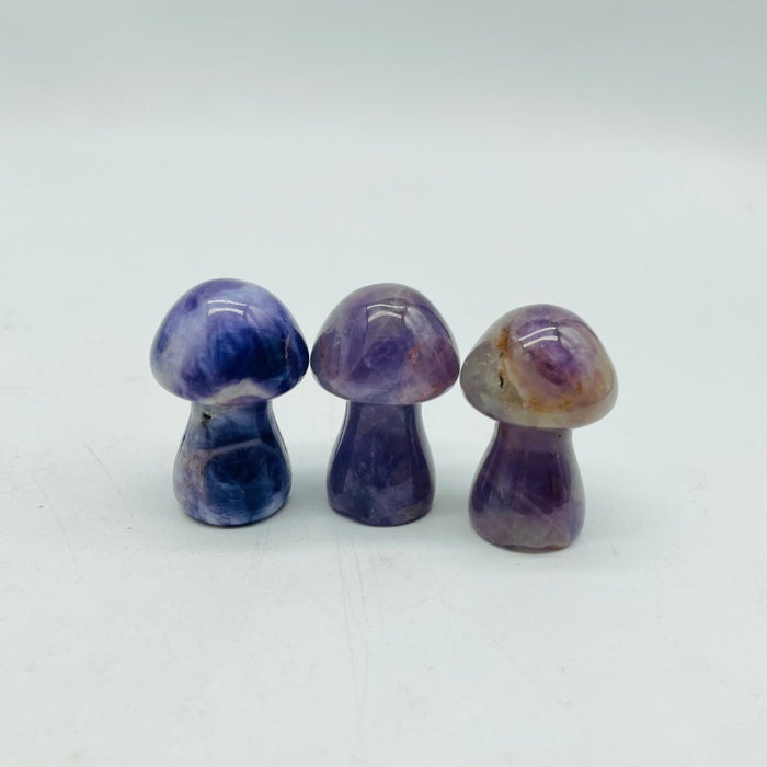 3 Types Mushroom Caribbean & Crazy Agate & Chevron Amethyst Wholesale