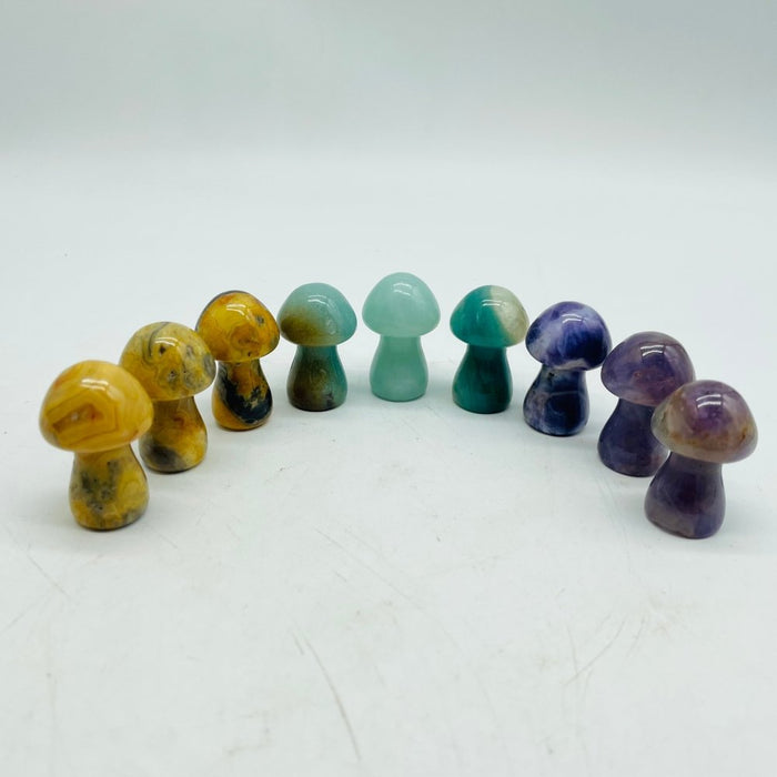 3 Types Mushroom Caribbean & Crazy Agate & Chevron Amethyst Wholesale