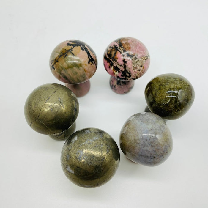 3 Types Mushroom Pyrite & Rhodonite & Ocean Jasper Wholesale