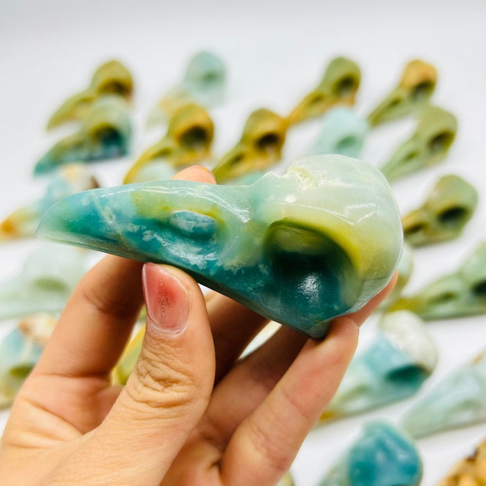 30 Pieces High Quality Caribbean Calcite Crow Skull Carving