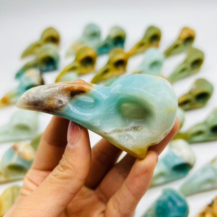 30 Pieces High Quality Caribbean Calcite Crow Skull Carving