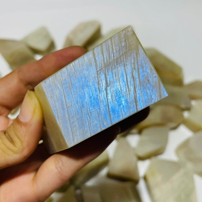 33 Pieces Large Blue Moonstone Free Form