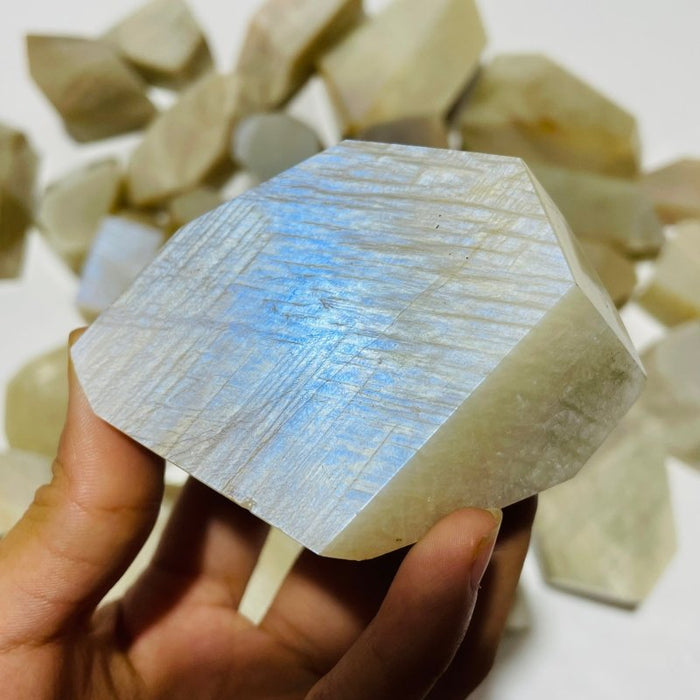 33 Pieces Large Blue Moonstone Free Form