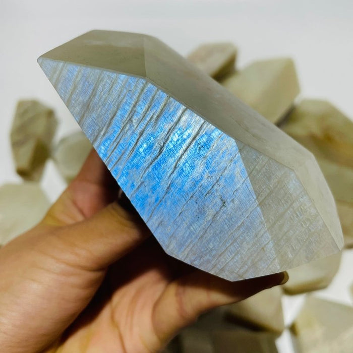 33 Pieces Large Blue Moonstone Free Form