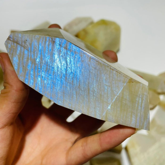 33 Pieces Large Blue Moonstone Free Form