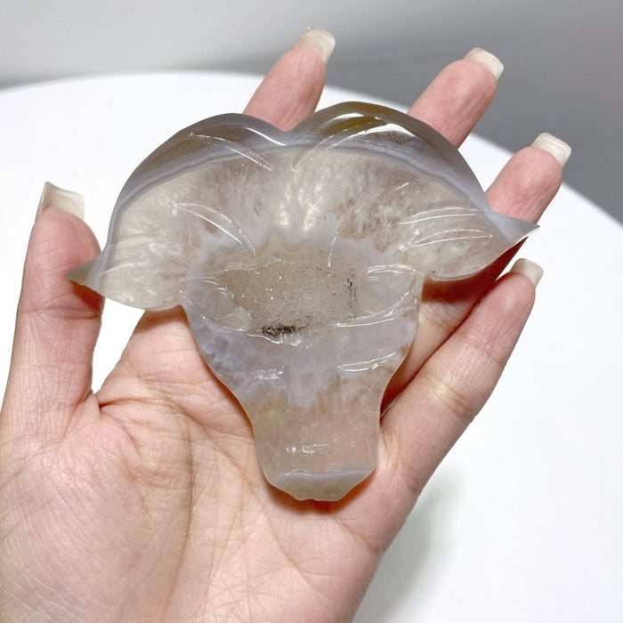 4 Pieces Beautiful Geode Druzy Agate Ox Head Crystal Carving With Stand