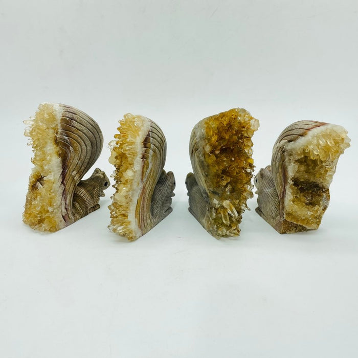 4 Pieces Cute Tangerine Orange Quartz Cluster Squirrel Carving