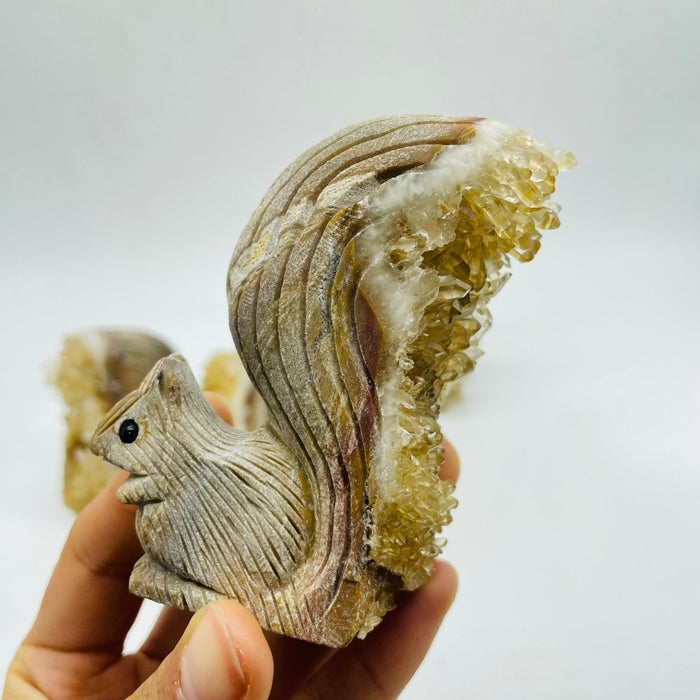 4 Pieces Cute Tangerine Orange Quartz Cluster Squirrel Carving