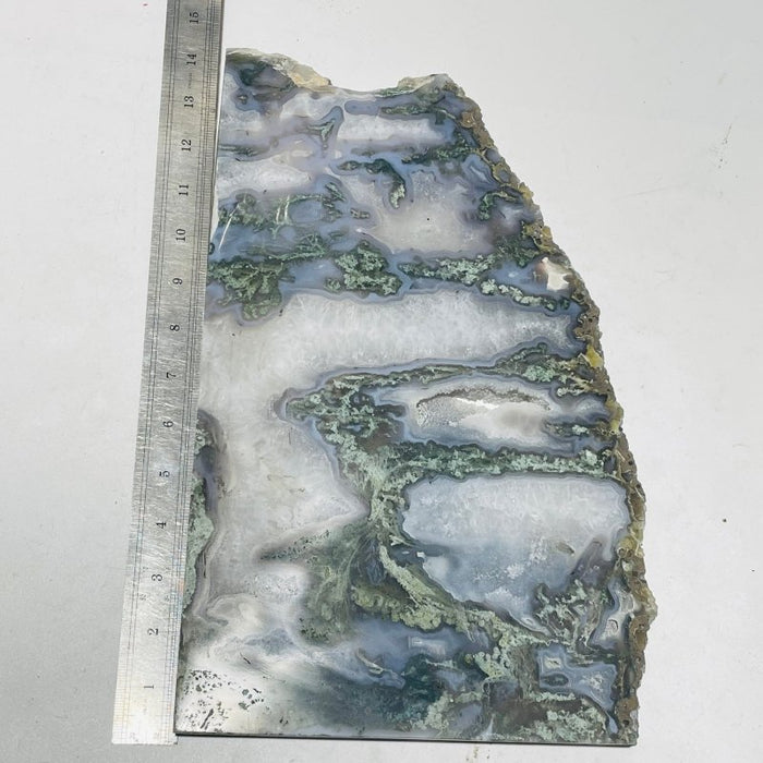 4 Pieces Large Moss Agate Slab 14.5in