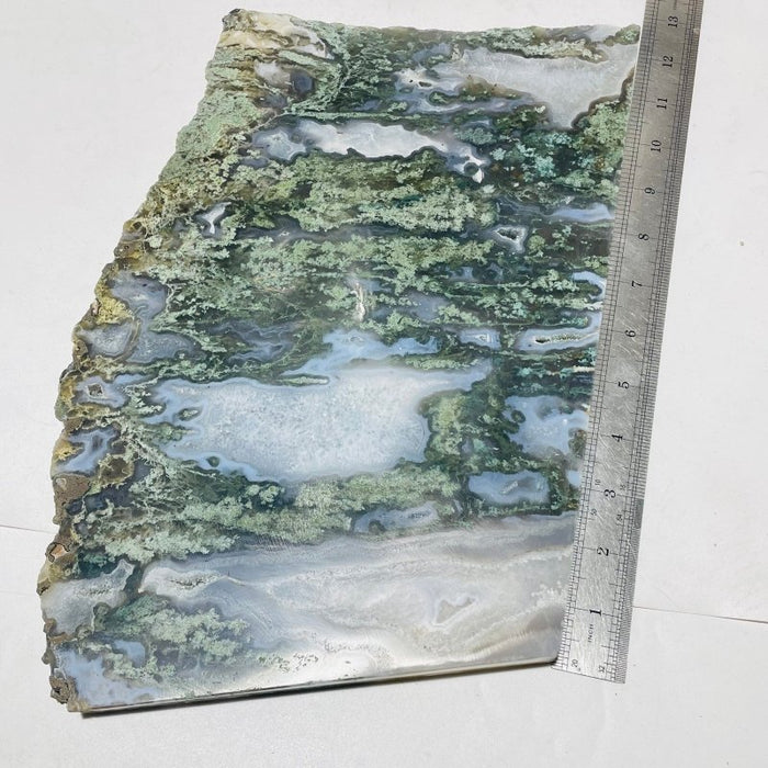 4 Pieces Large Moss Agate Slab 14.5in