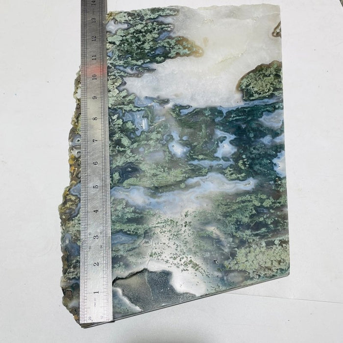 4 Pieces Large Moss Agate Slab 14.5in