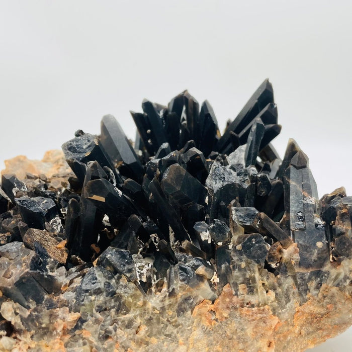 Deep Color Large Smoky Quartz Cluster