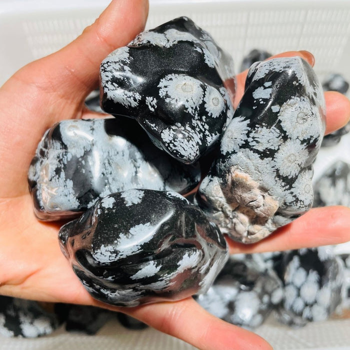 48 Pieces Polished Snowflake Obsidian Raw Free Form