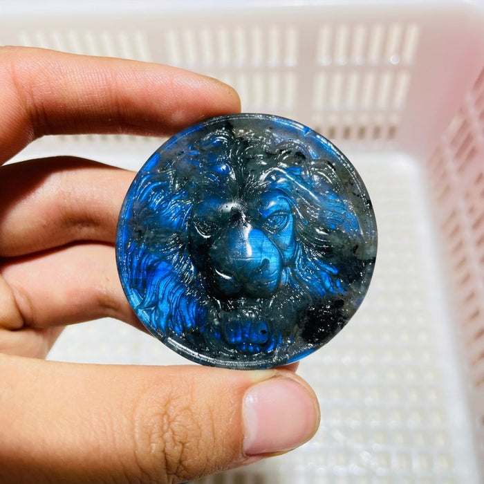4Pieces High Quality Labradorite Lion Head Carving