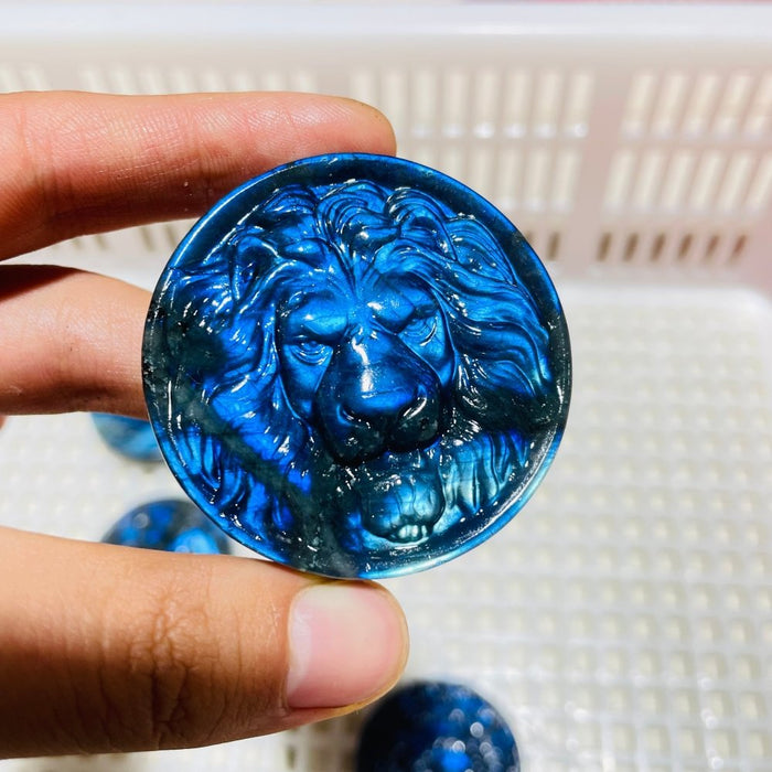 4Pieces High Quality Labradorite Lion Head Carving