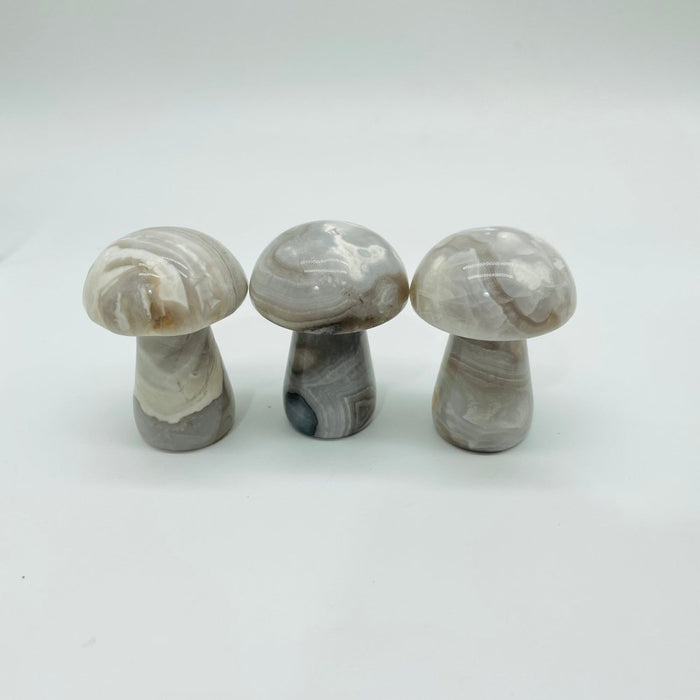 4Types Mushroom Lepidolite & Caribbean Carnelian Wholesale