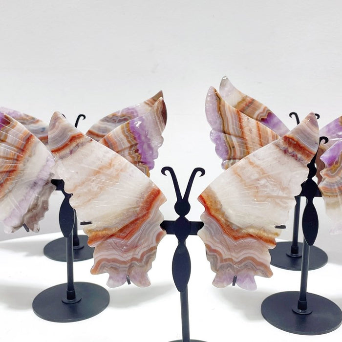 5 Pairs Beautiful Amethyst Mixed Stripe Agate Butterfly Wing Carving With Stand