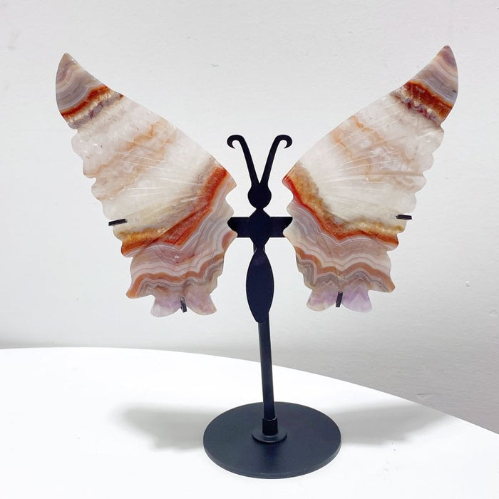 5 Pairs Beautiful Amethyst Mixed Stripe Agate Butterfly Wing Carving With Stand