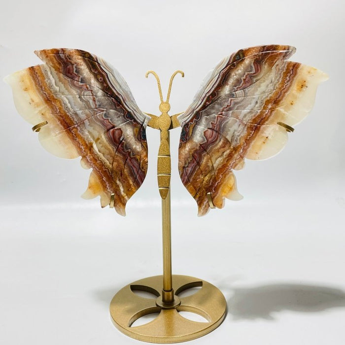 5 Pairs Butterfly Wing Carving With Stand Morocco Agate Moonstone