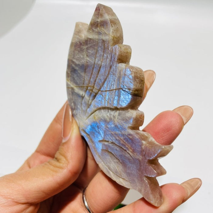 5 Pairs Butterfly Wing Carving With Stand Morocco Agate Moonstone