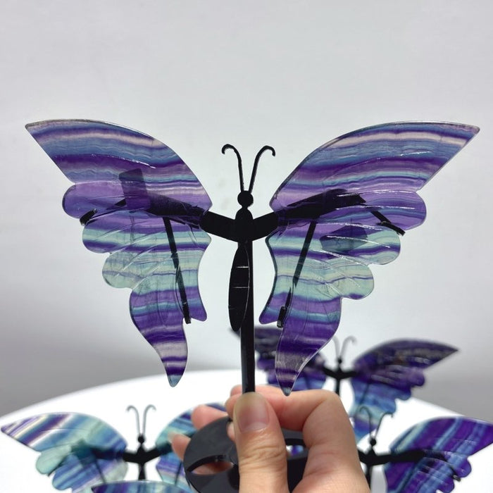 5 Pairs Fluorite Butterfly Carving With Stand