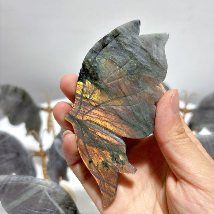 5 Pairs Purple Labradorite Butterfly Wing Carving With Stand