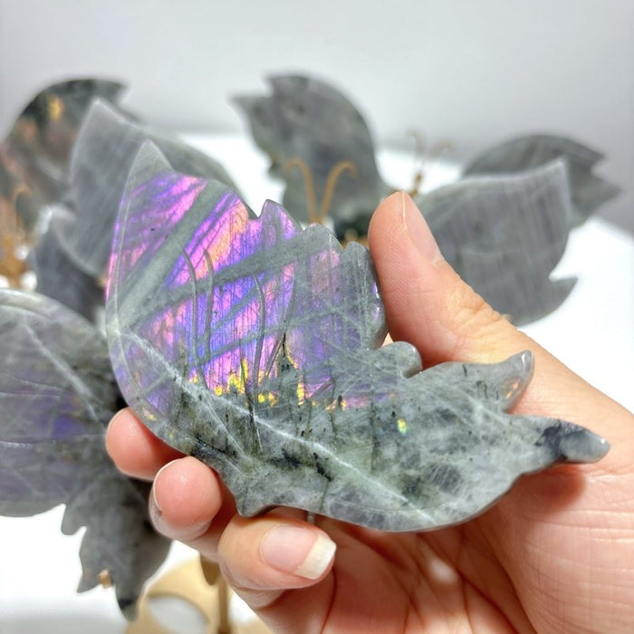 5 Pairs Purple Labradorite Butterfly Wing Carving With Stand
