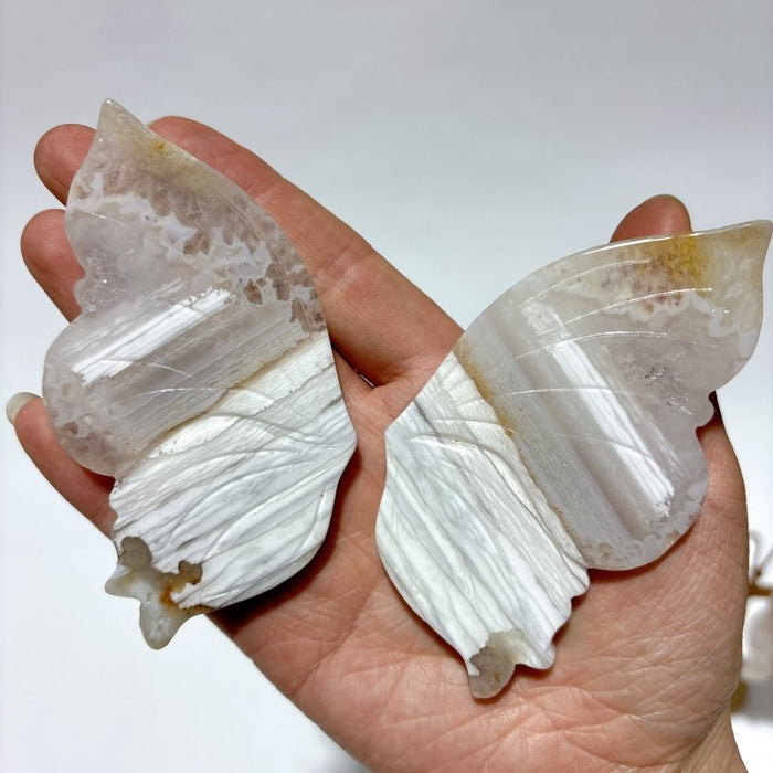 5 Pairs Sakura Flower Agate Butterfly Wing With Stand