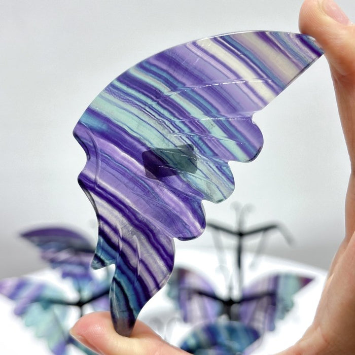 5 Pairs Symmetry Fluorite Butterfly Wing With Stand