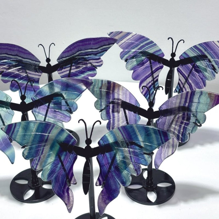 5 Pairs Symmetry Fluorite Butterfly Wing With Stand