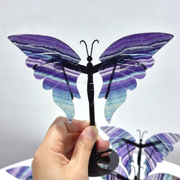 5 Pairs Symmetry Fluorite Butterfly Wing With Stand