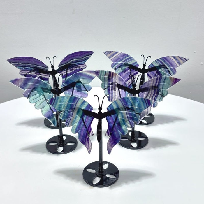 5 Pairs Symmetry Fluorite Butterfly Wing With Stand
