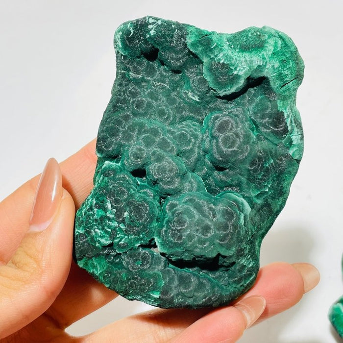 5 Pieces Beautiful High Quality Raw Malachite Specimen