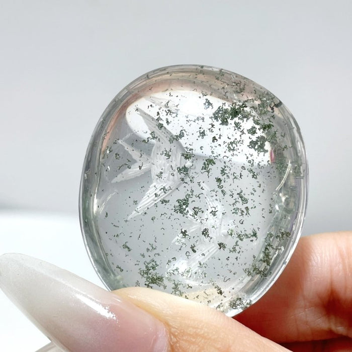 5 Pieces Fish The Underwater World Garden Quartz Inner Scene Carving