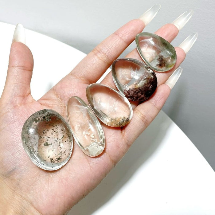 5 Pieces Fish The Underwater World Garden Quartz Inner Scene Carving