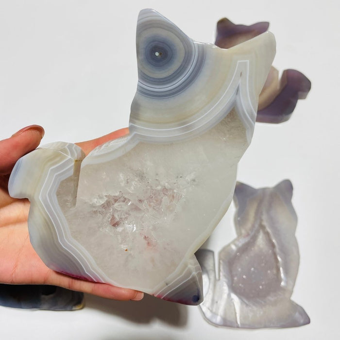 5 Pieces Geode Agate Druzy Cat Closeout
