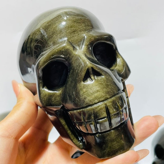5 Pieces High Quality Gold Sheen Obsidian Skull Carving