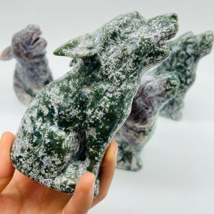 5 Pieces Large Ocean Jasper Wolf Carving