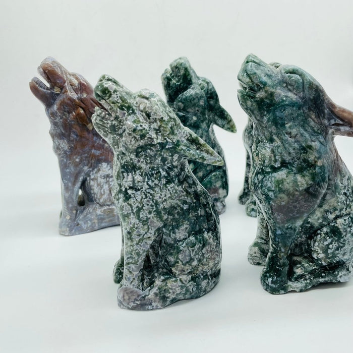 5 Pieces Large Ocean Jasper Wolf Carving