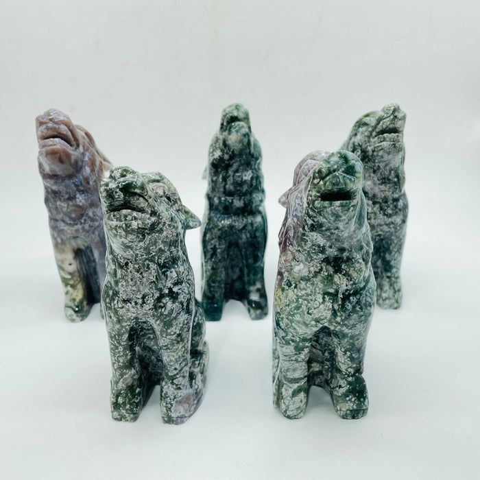 5 Pieces Large Ocean Jasper Wolf Carving