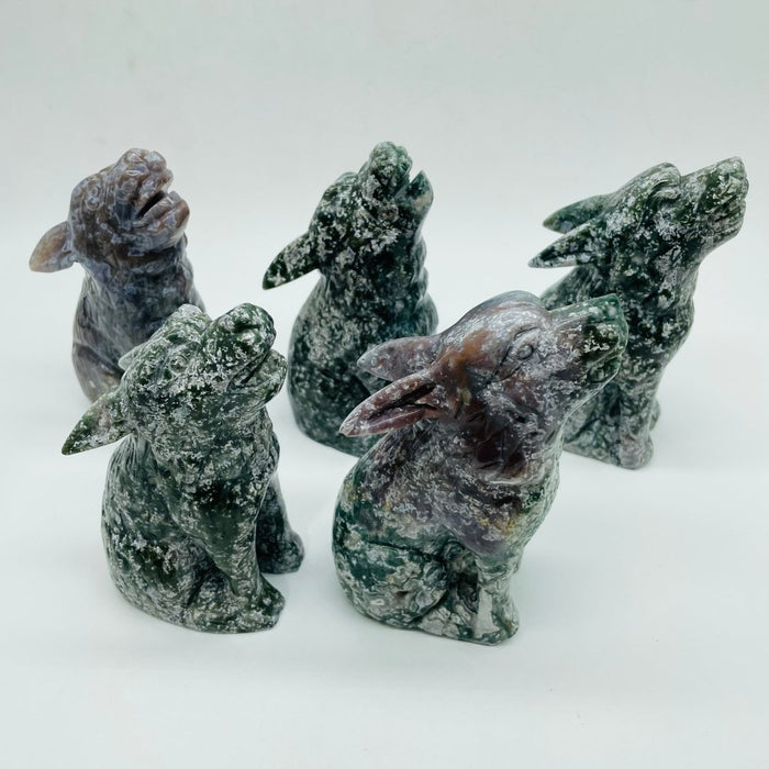 5 Pieces Large Ocean Jasper Wolf Carving