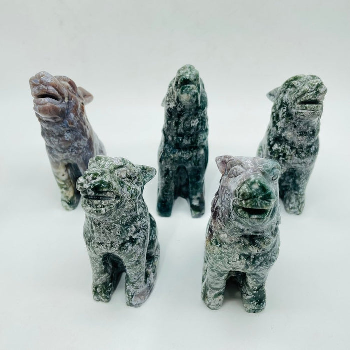 5 Pieces Large Ocean Jasper Wolf Carving