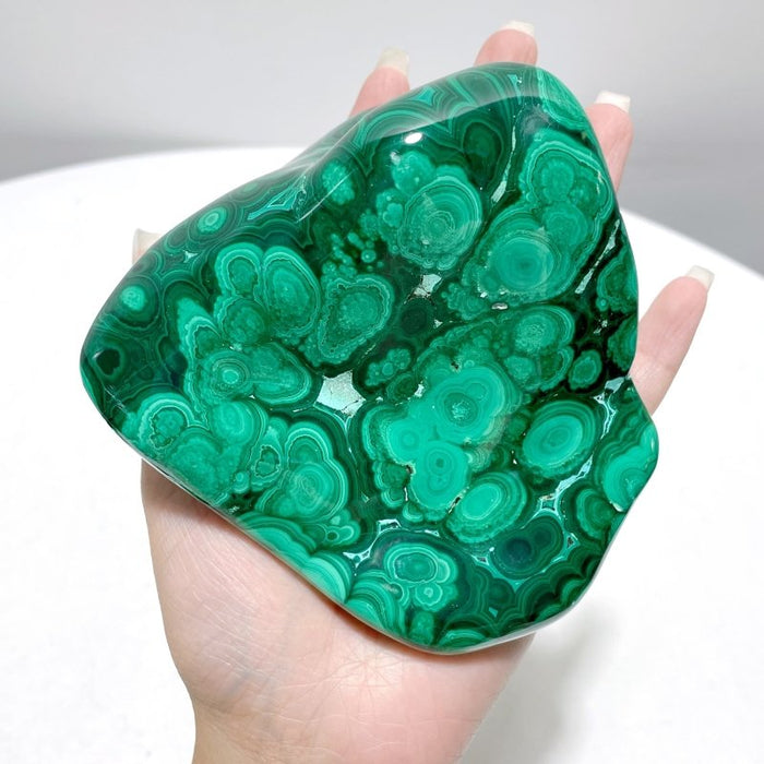 5 Pieces High Quality Polished Malachite Free Form