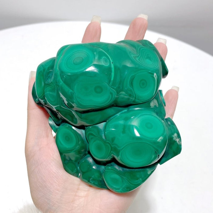 5 Pieces High Quality Polished Malachite Free Form