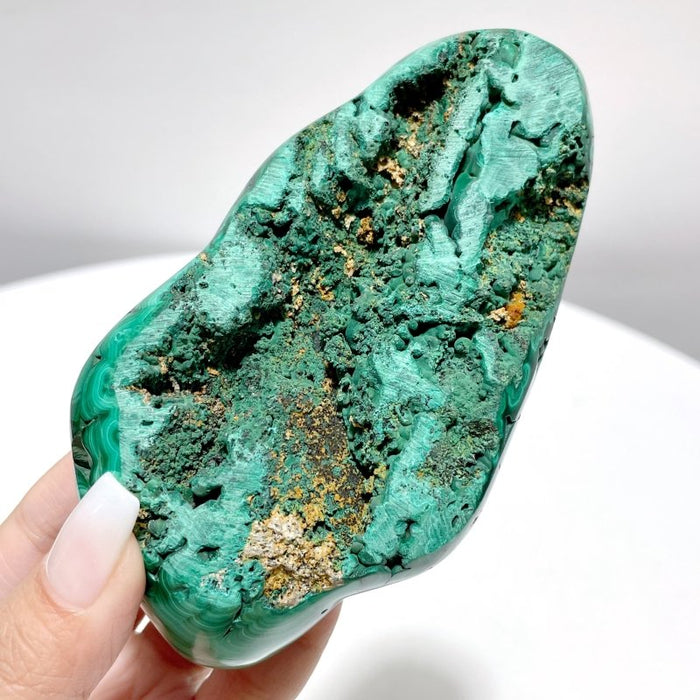 5 Pieces High Quality Polished Malachite Free Form