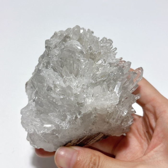 5 Pieces Large Clear Quartz Cluster Groot Carving