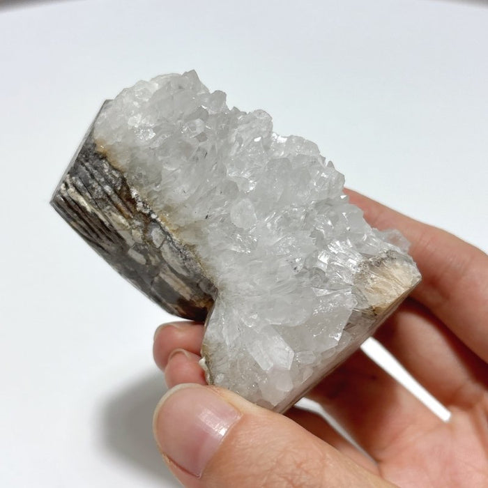 5 Pieces Large Clear Quartz Cluster Groot Carving