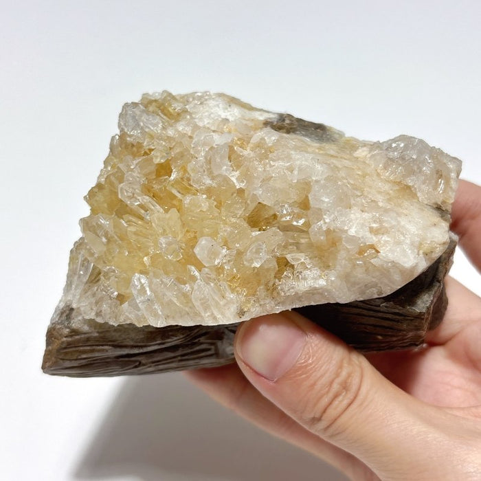 5 Pieces Large Clear Quartz Cluster Groot Carving